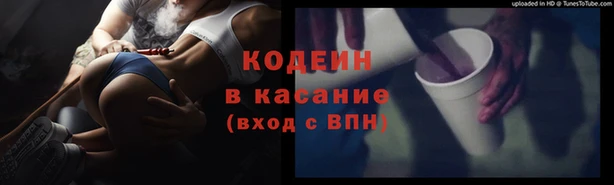 бошки Алексин
