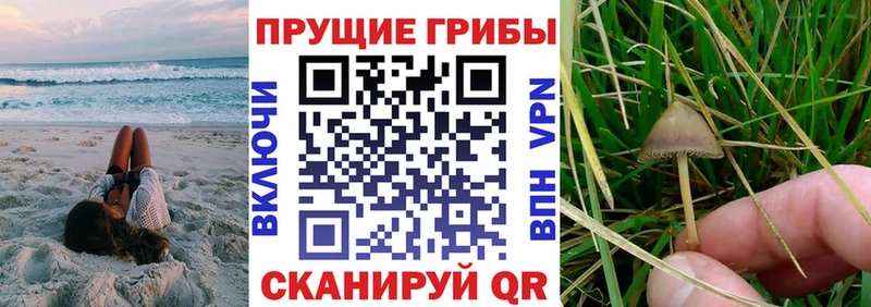 Псилоцибиновые грибы мухоморы  omg ссылка  Мензелинск 